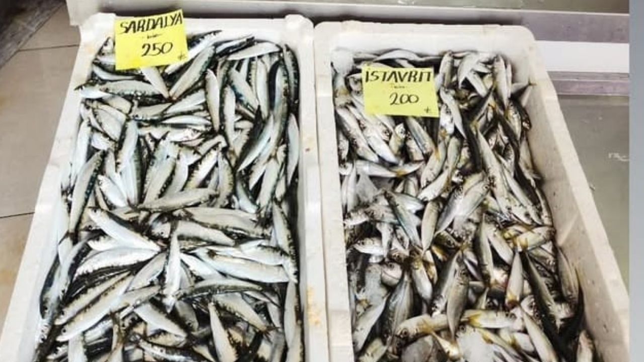 Bir Başlık Ekleyin (3)-437