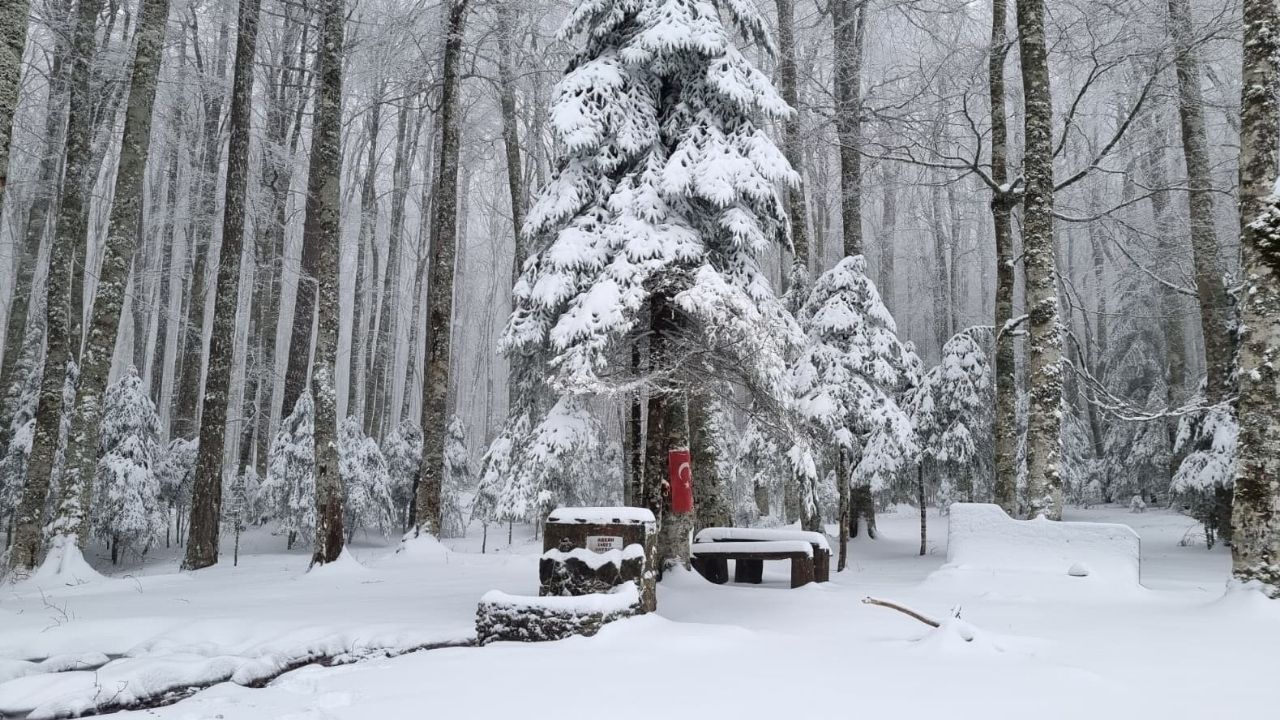 Bir Başlık Ekleyin (4)-358