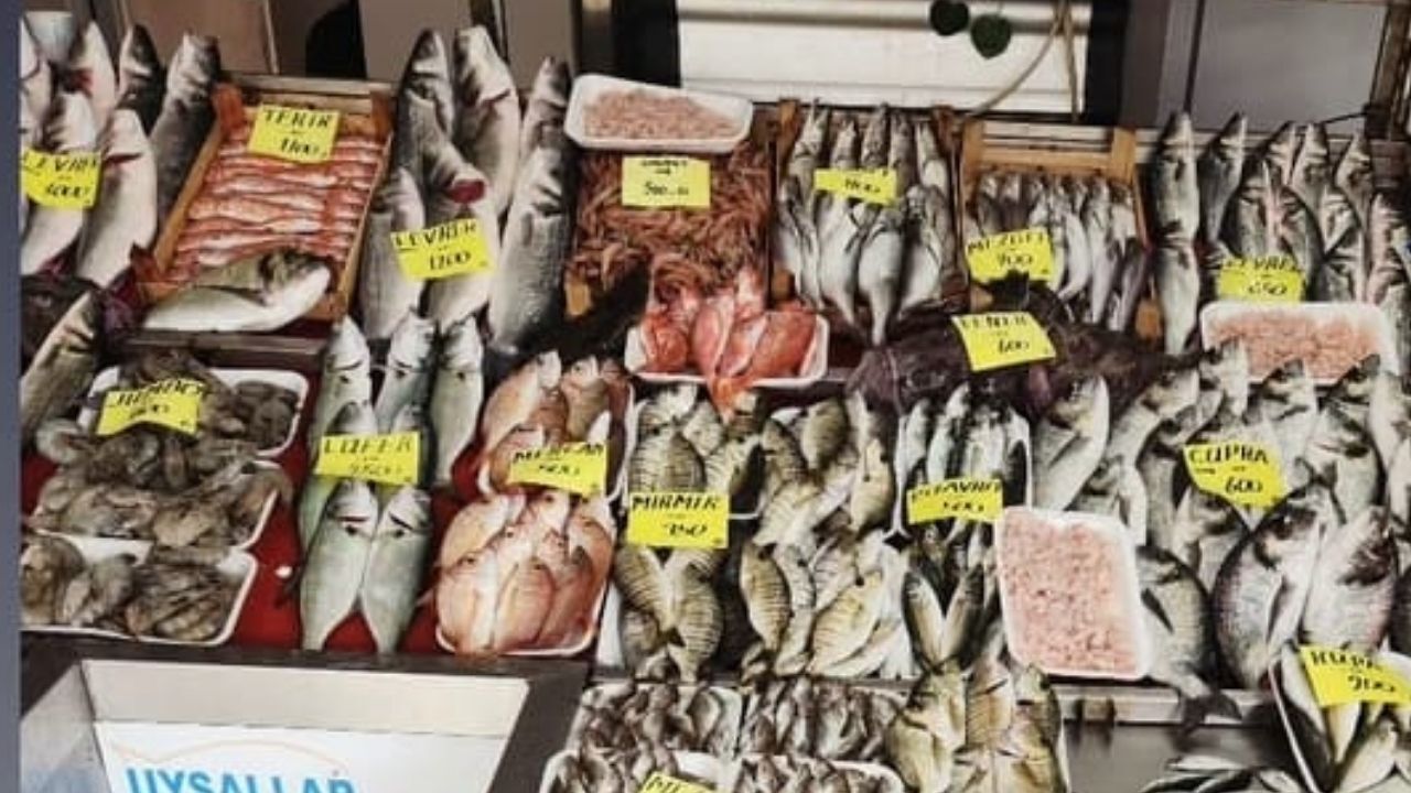 Bir Başlık Ekleyin (4)-361