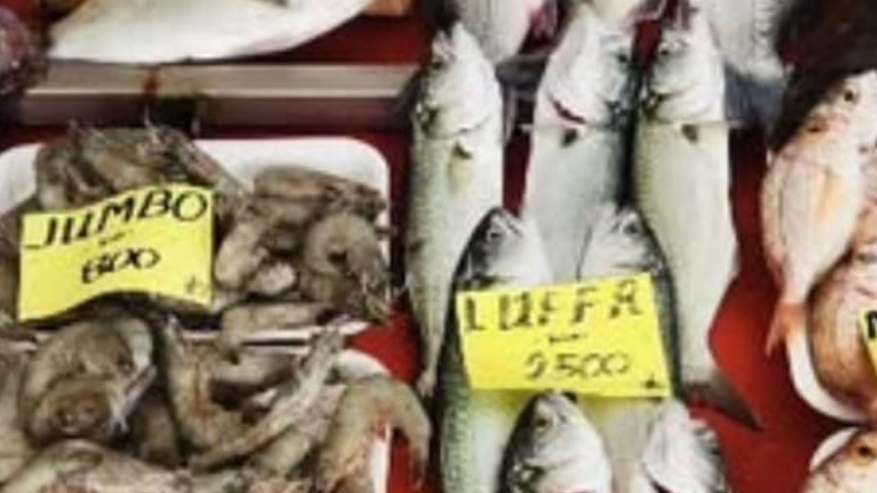 Bir Başlık Ekleyin (5)-304