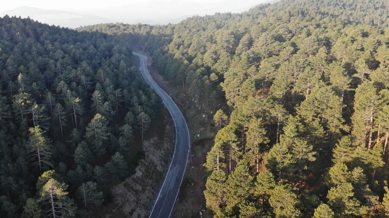 Bir Başlık Ekleyin (6)-237