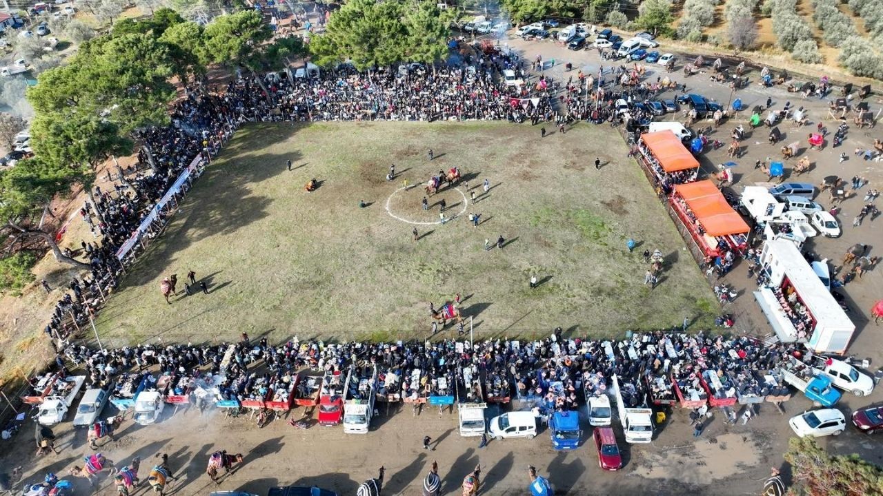 Büyük Antrenman Güreşi Deve Güreşi Burhaniye (2)