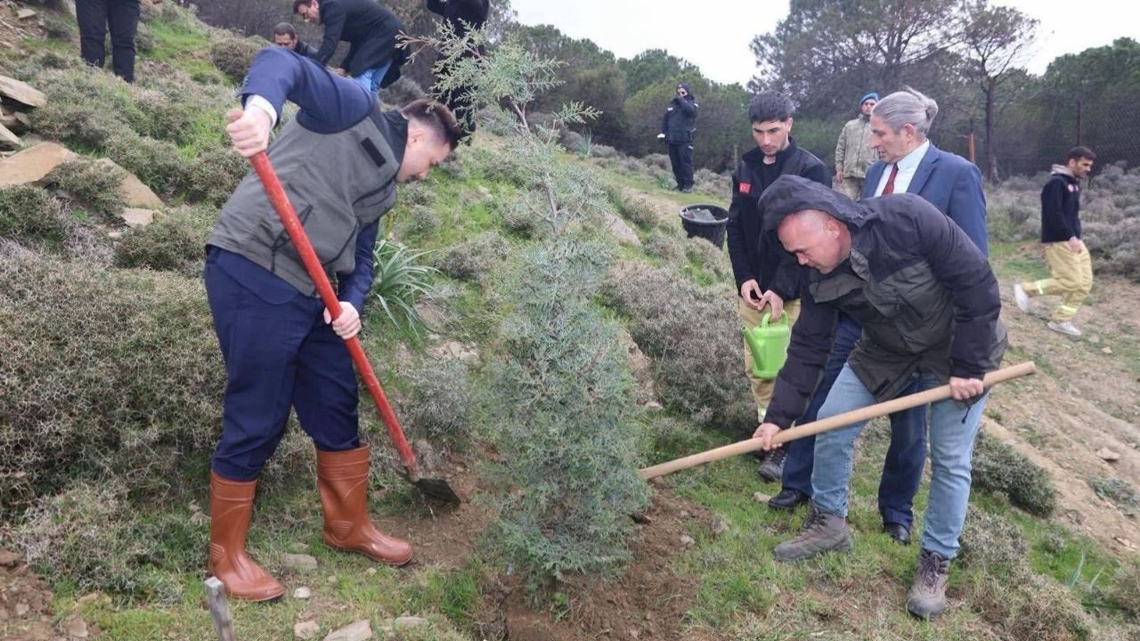 Çanakkale Gökçeada (4)