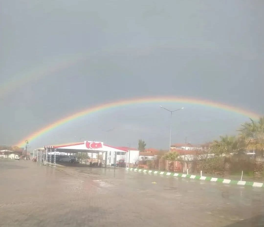 D3F219B6 C74D 4Cab 8Db8 12F786B6945B