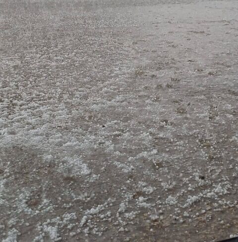 E0E8F047 D5D7 46Fa A625 338606Fa82Fd