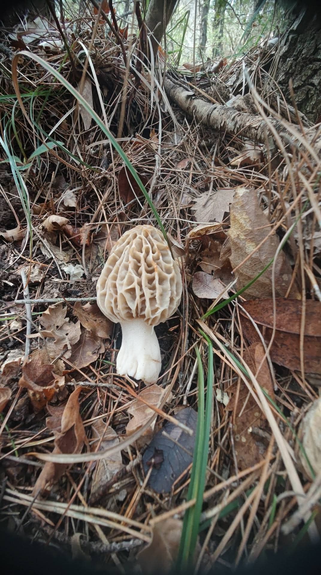 Eaf247A7 Ab29 4Dc9 A7Ee 802070A90D03