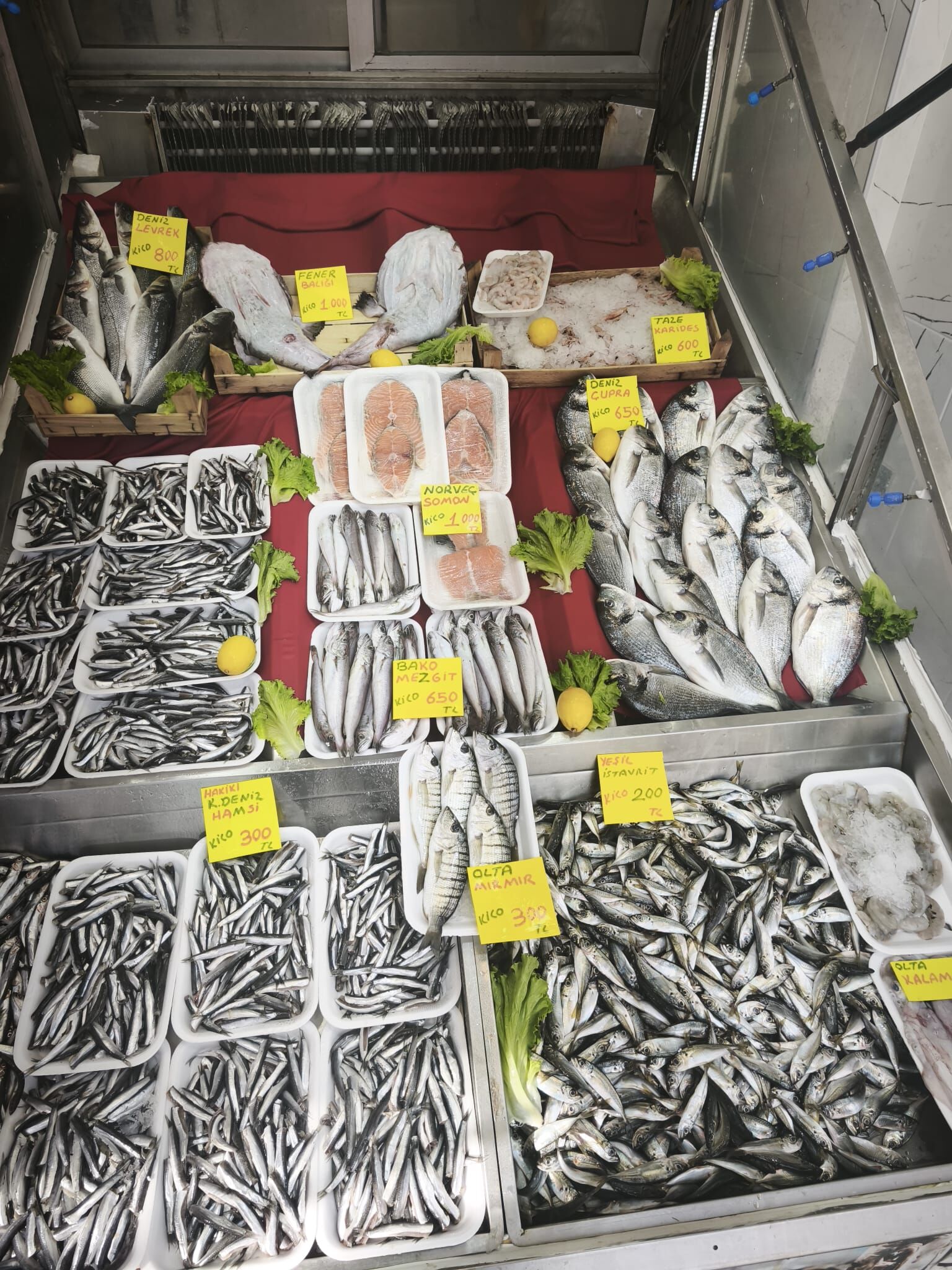 Ff27Cafc 982E 4Bb9 8F92 1B2A4Dfdf8C4