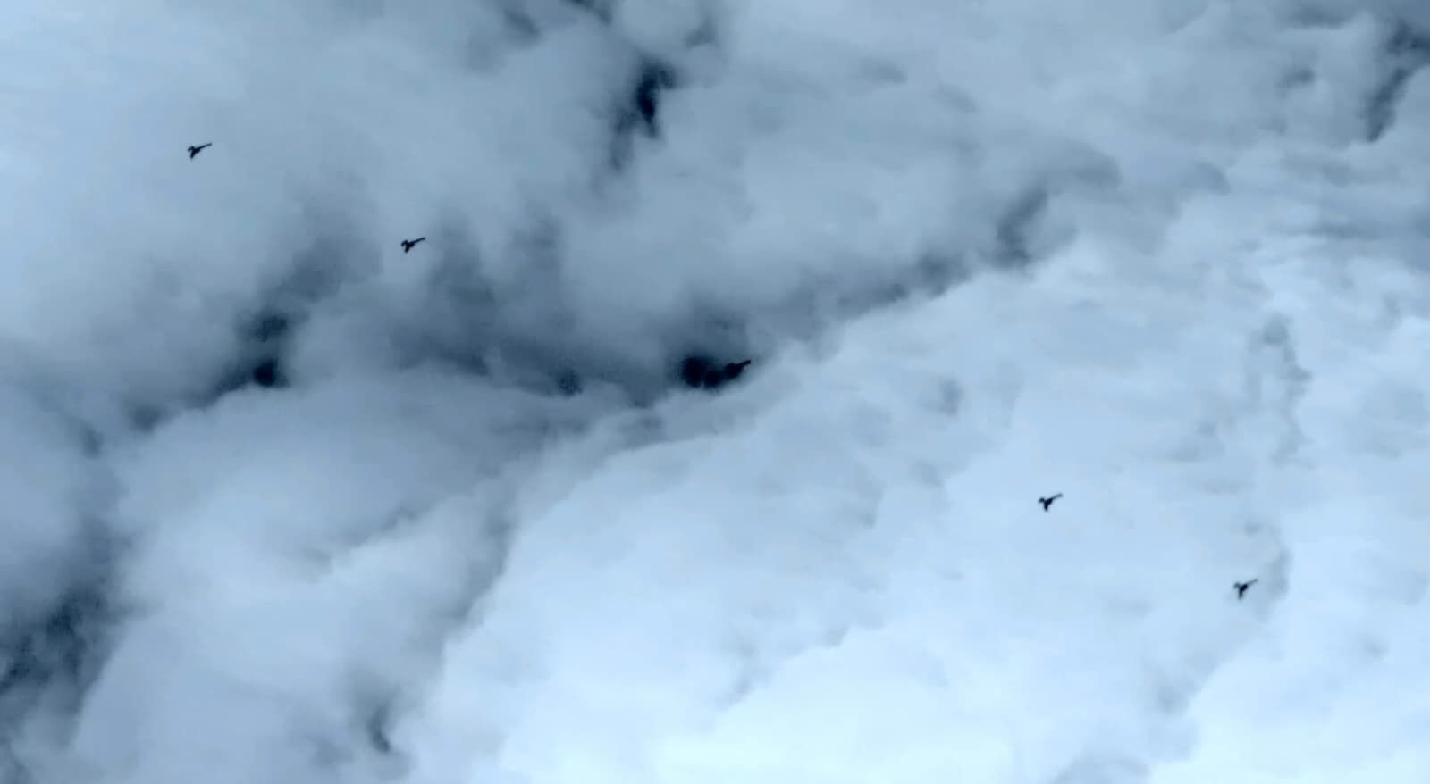 K2 Kamikaze İha Baykar