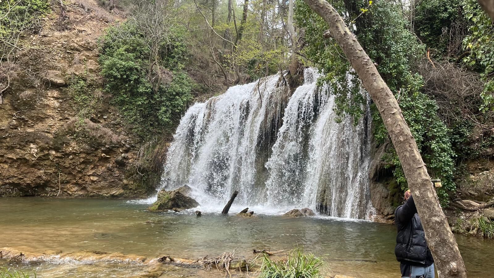 016D20Ca 333C 4568 8695 9Dea4B0E6458