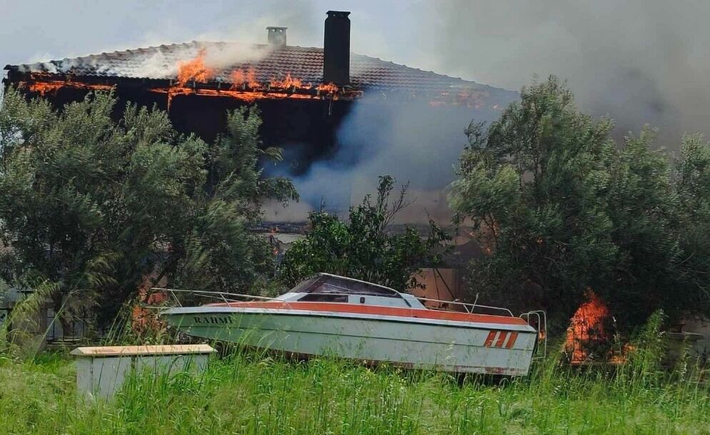 151B3810 5Aea 49Ee Bd97 E44E6Bb85Ea6