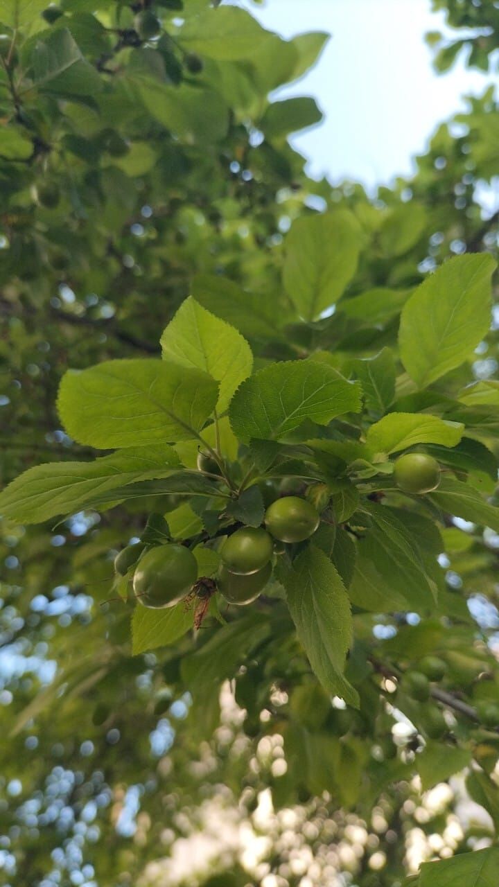 17B75D8E Ea8D 4A02 B409 8C0B00Df650E