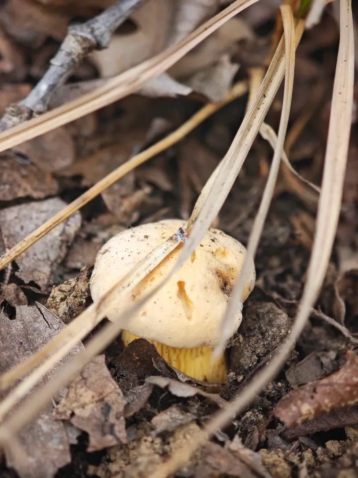 18Cc7340 A9Ef 4754 B7Ef 5D149E3E6815