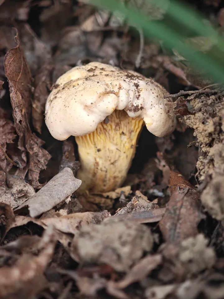 3754F975 2B56 40D4 983A C5678F35E864