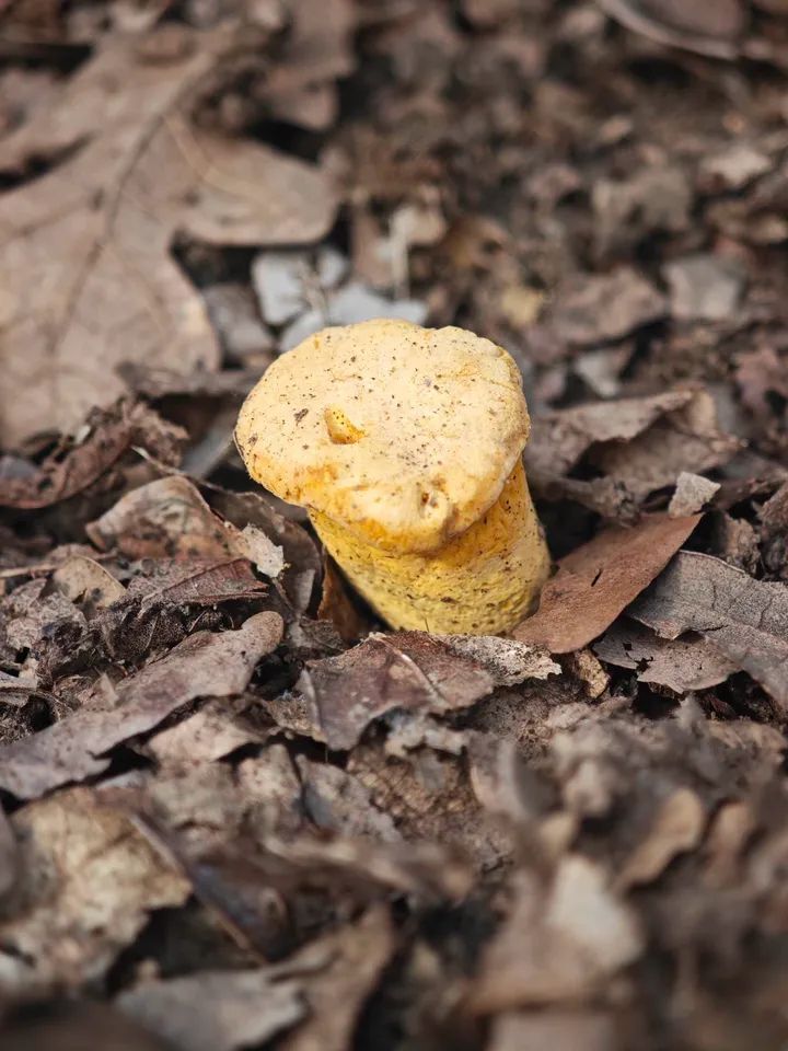 462Acb71 4Eee 4107 B458 E20C1172F91C