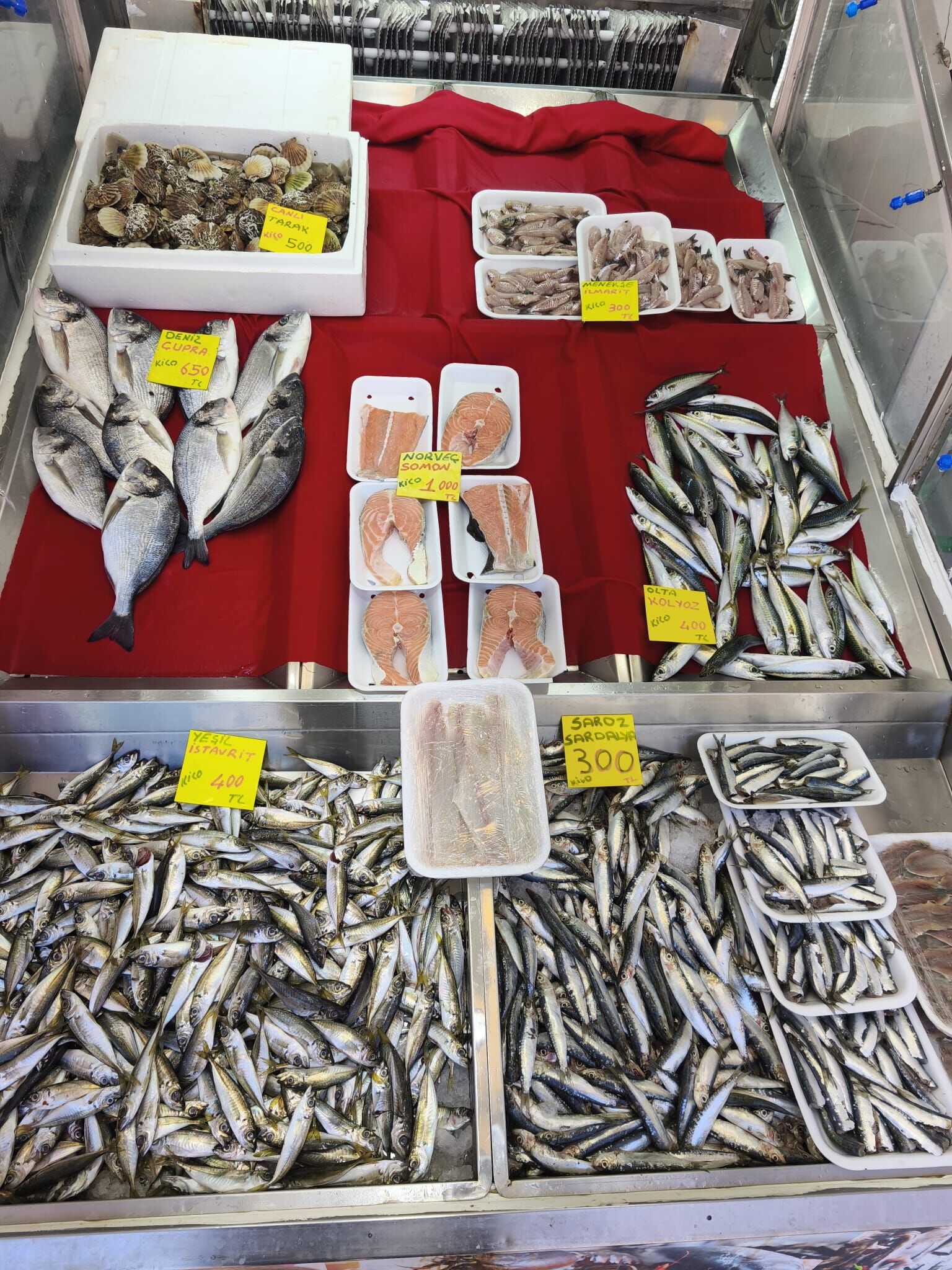 62Cf0973 Bfb6 416E B8E7 D7Fe6E4474D7