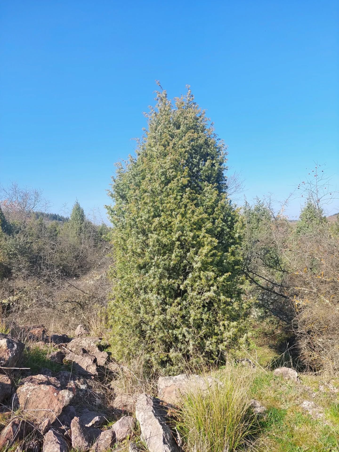 651904000 18580532791039216 89389404514270870 N