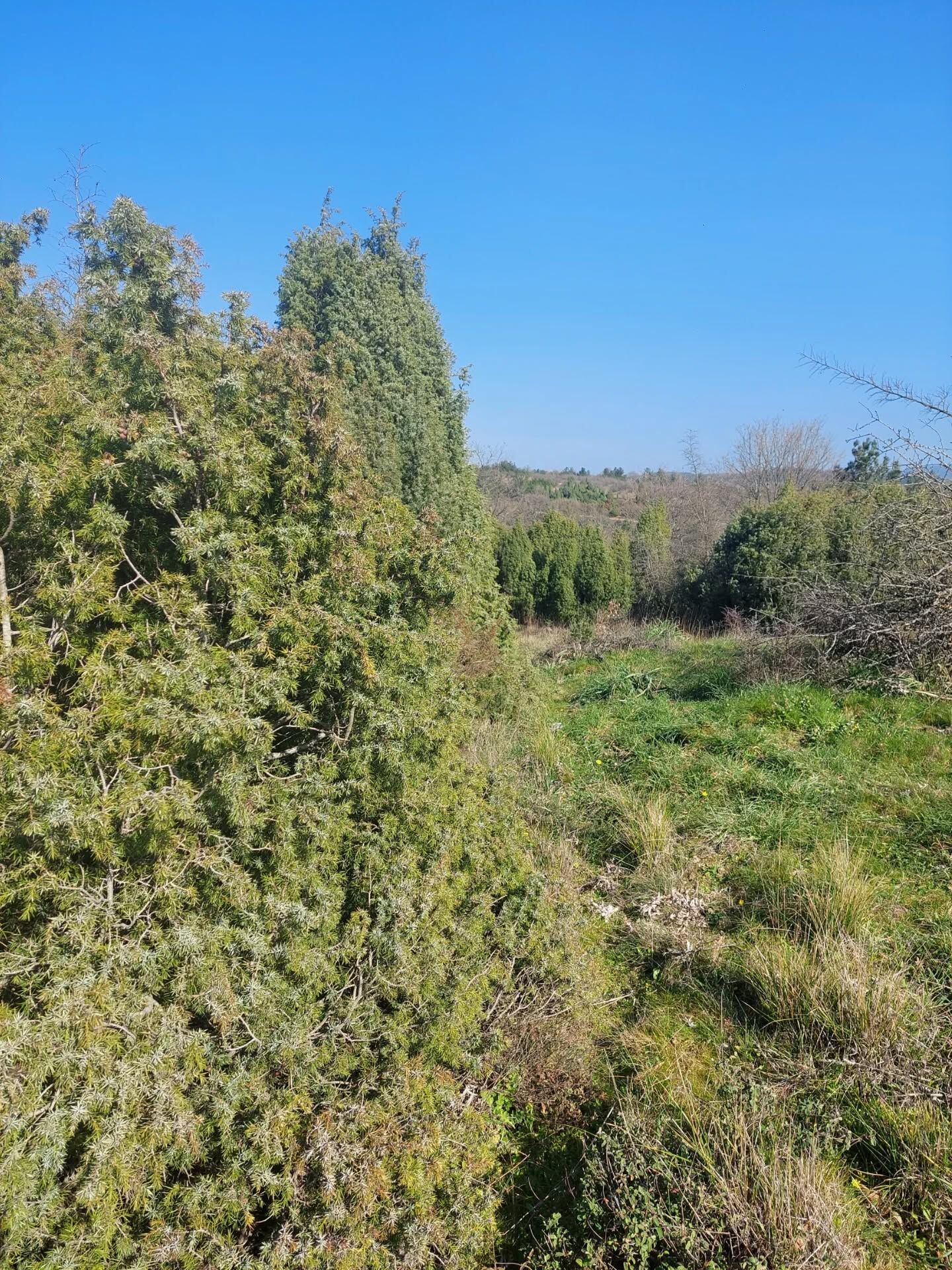 652741577 18580532860039216 1522628317084958082 N