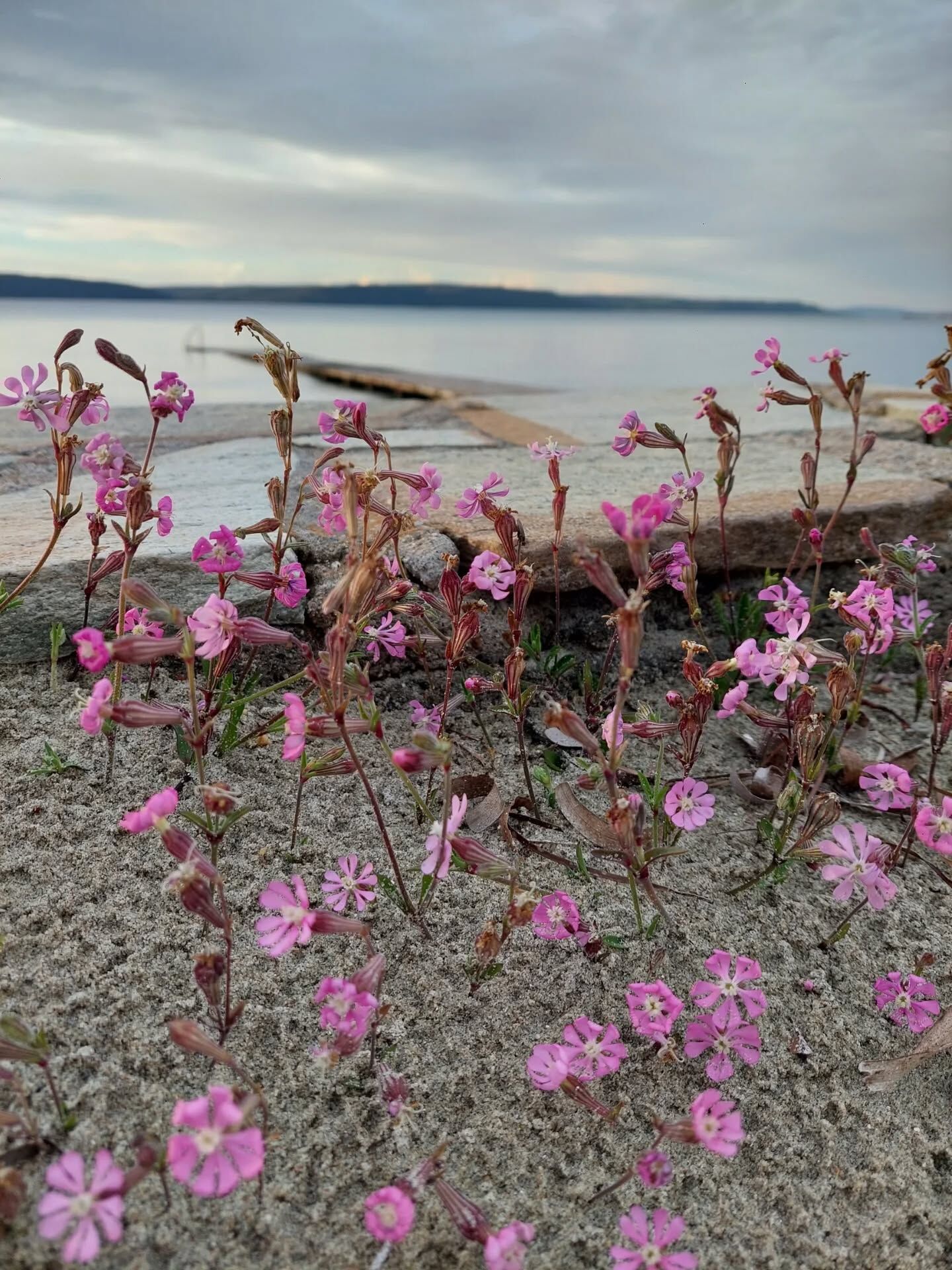 657394049 18584709418039216 2644802651697720429 N