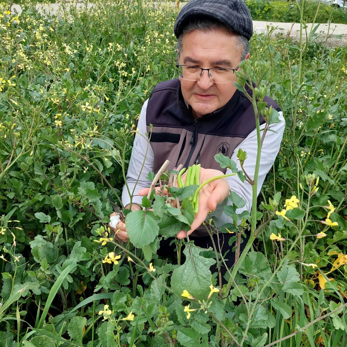 657394503 18585319282039216 1461116035680277400 N