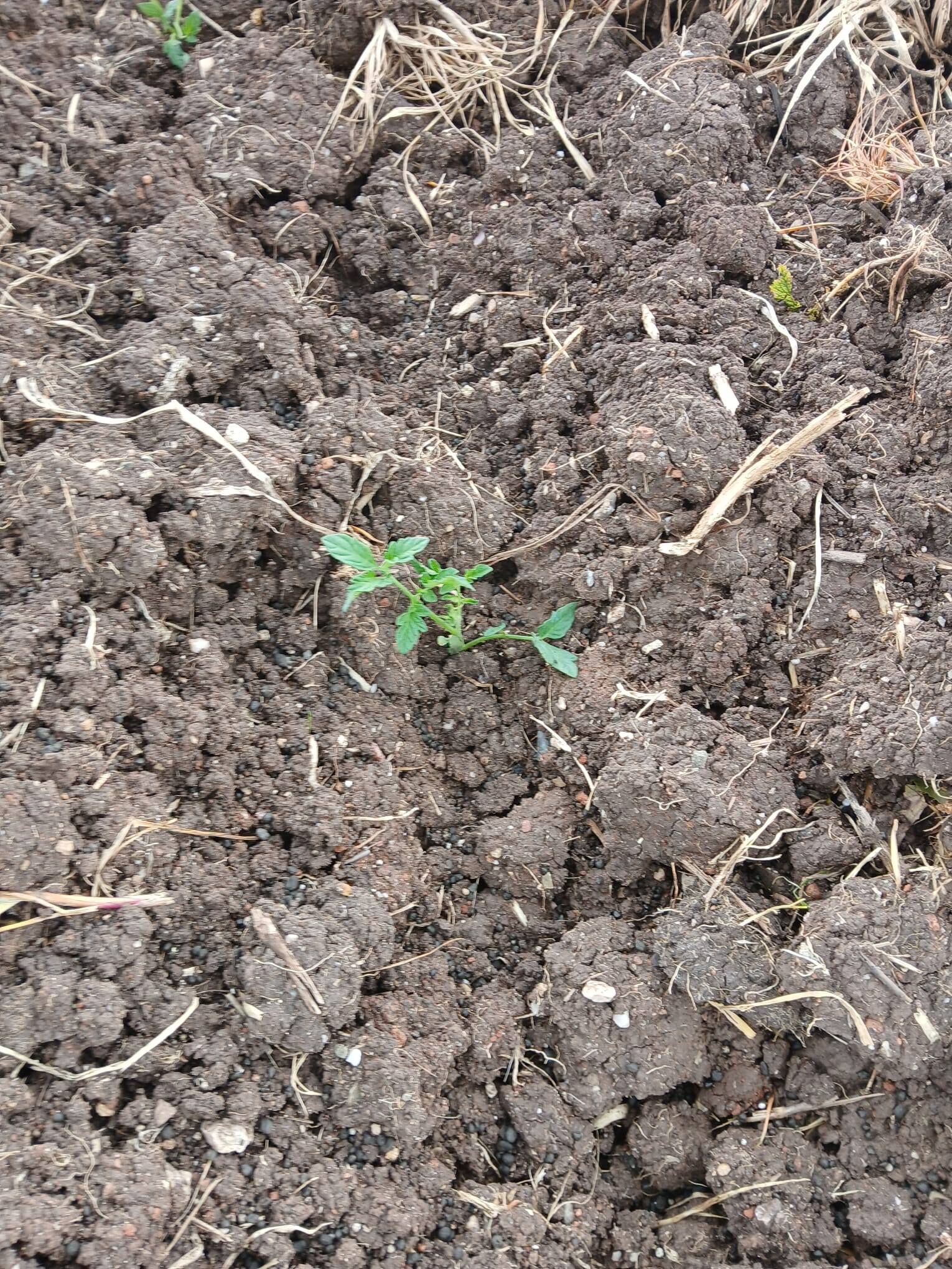 660538221 27073542285582186 2110908044049701561 N