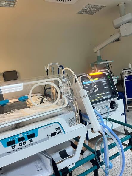 661979485 1402123955052226 4399760488463607496 N