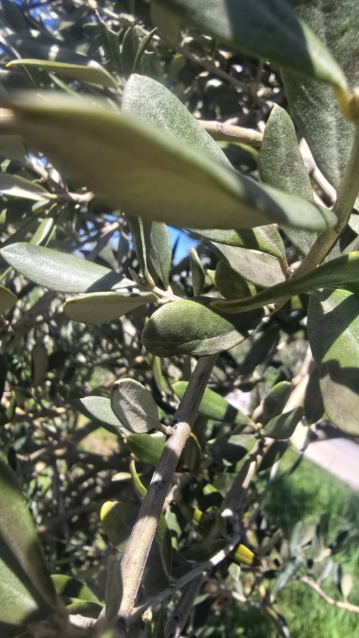 662138420 10239191384656621 1166491373107905461 N