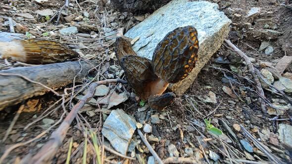 663242813 10227468453811819 264966031155711942 N