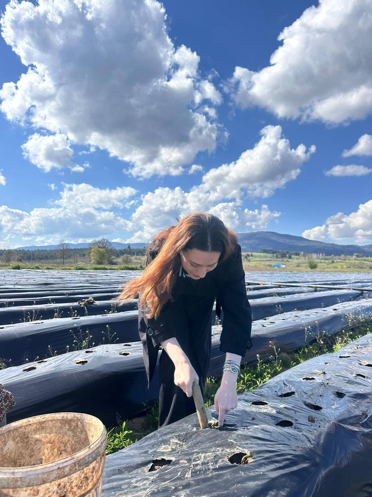 666102670 122235092372271763 2381949905900488 N