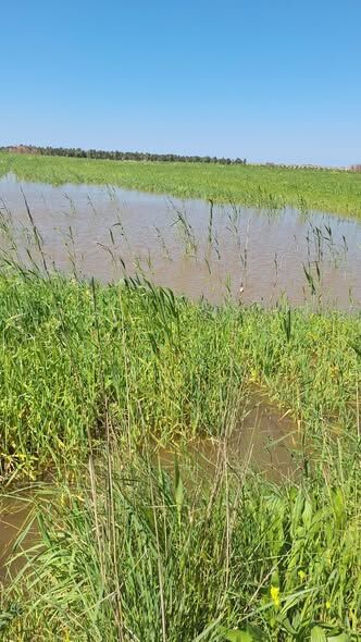 667407014 1541764507836237 8877419983368728900 N