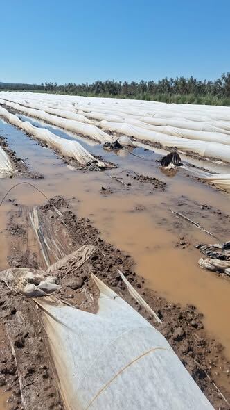 668876986 1541764474502907 8728230493425771438 N