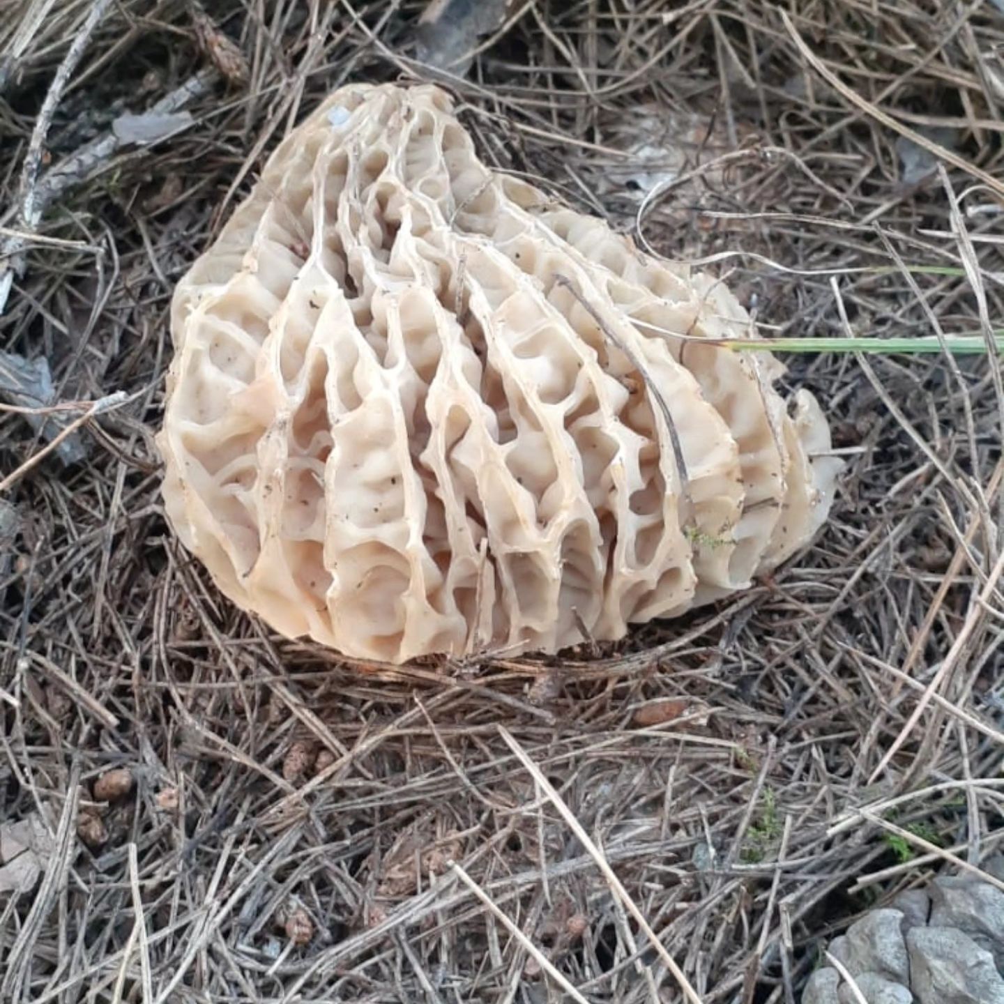 669437289 10227523071657231 3390842251209146530 N