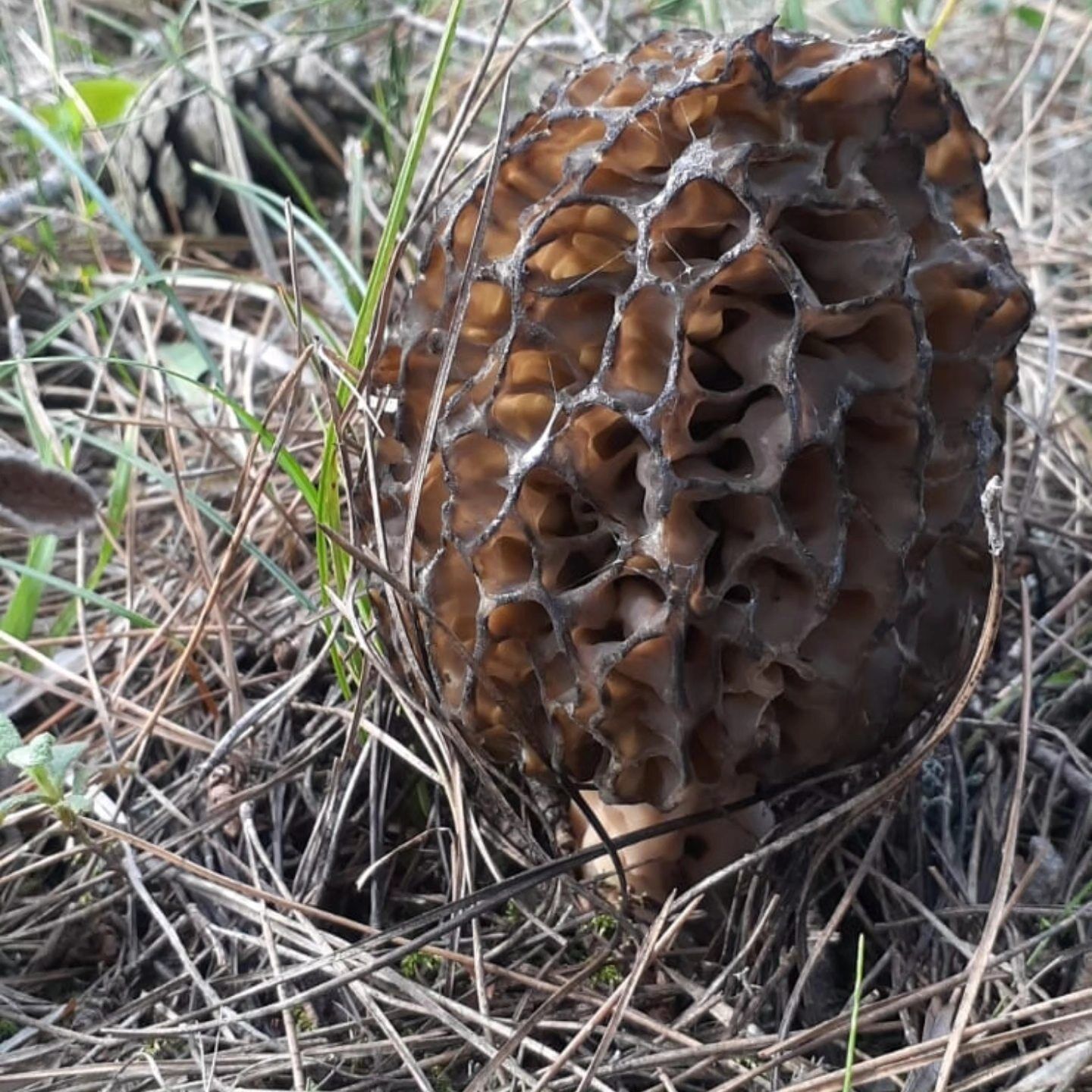 670297586 10227523071617230 5844766960456573218 N