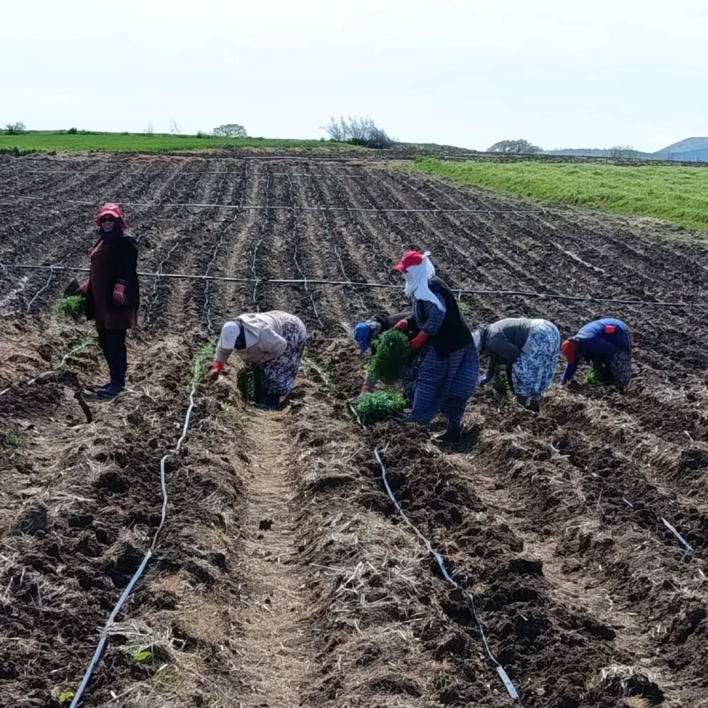 670516839 18561709342067673 1369817047700989773 N