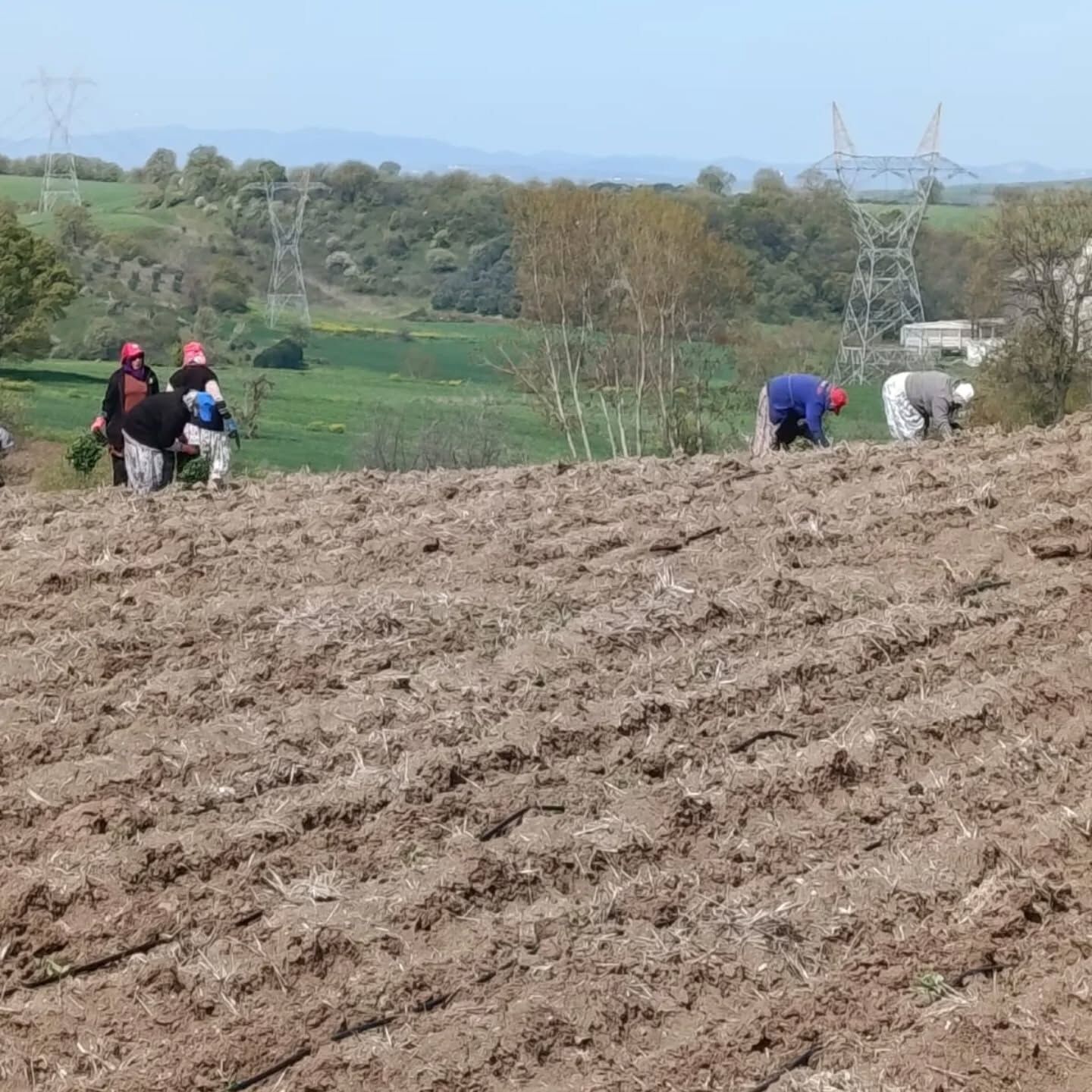 670571932 18561709318067673 141009906641136425 N