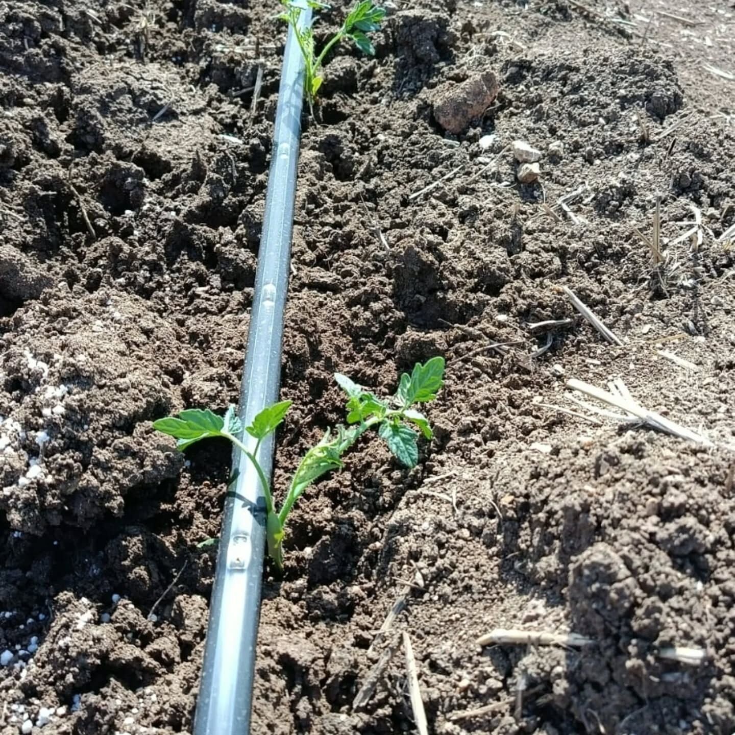 670886492 18561709372067673 4902503745055181540 N