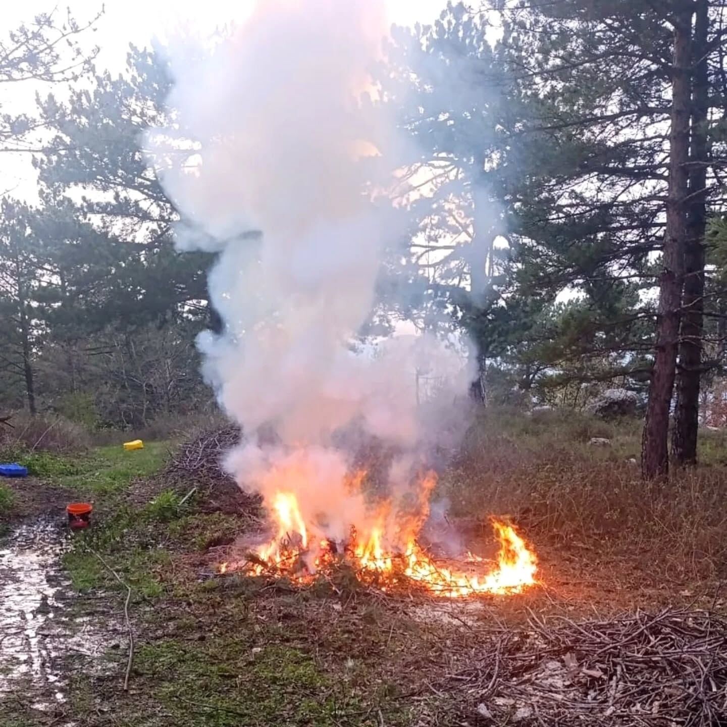 671204988 18113107015747998 4023067253266670894 N-1