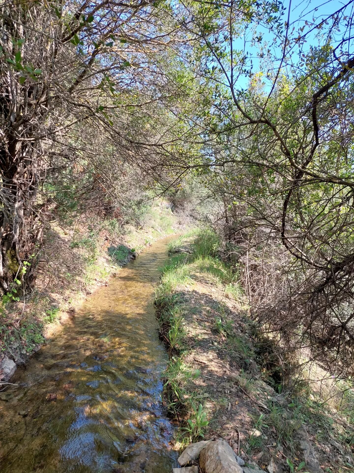 671292189 18589971148039216 8005747930584442988 N