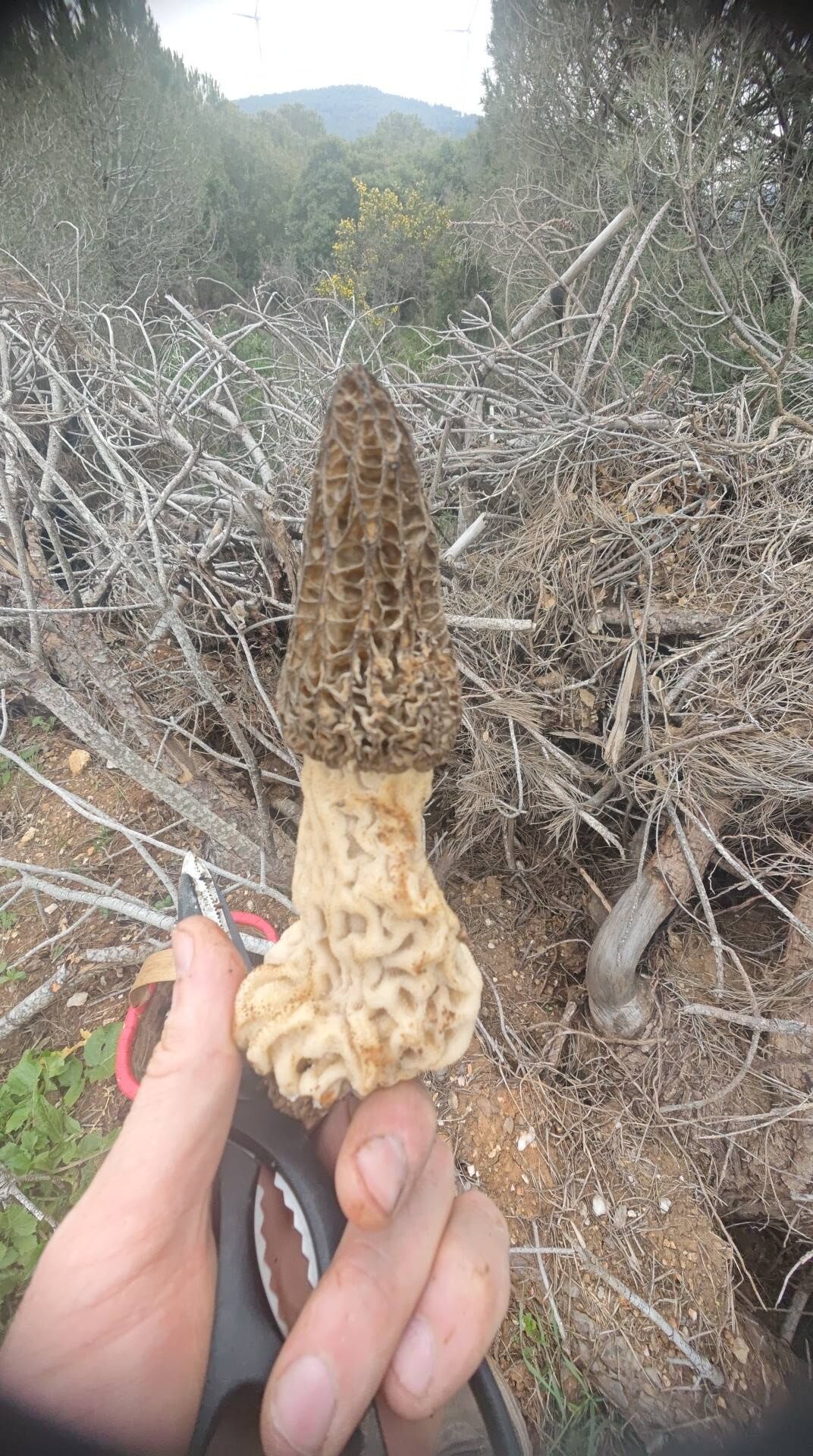 671446892 10227573600280415 8784293972542546020 N