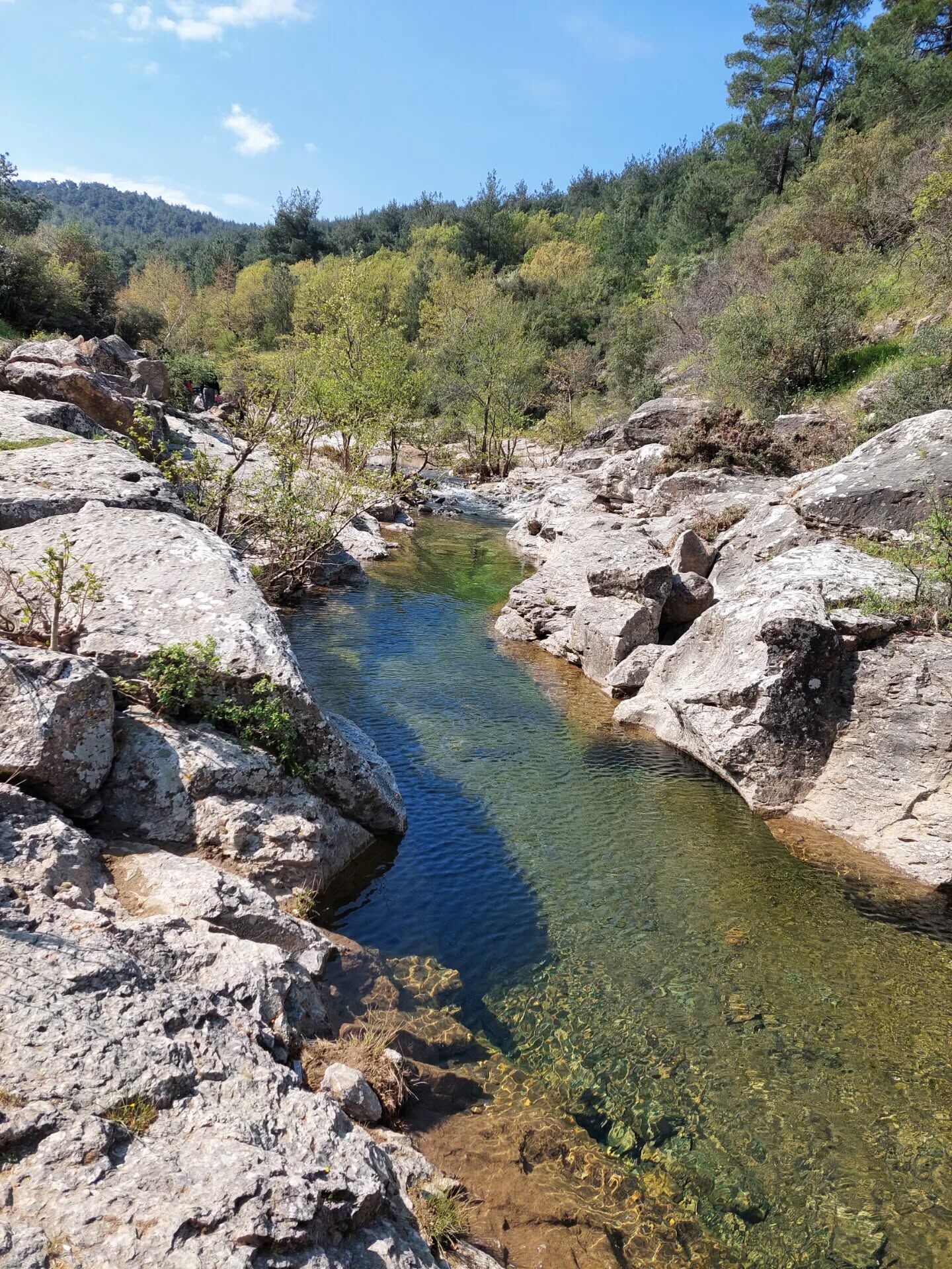 671823228 18589971136039216 2134780482830186305 N