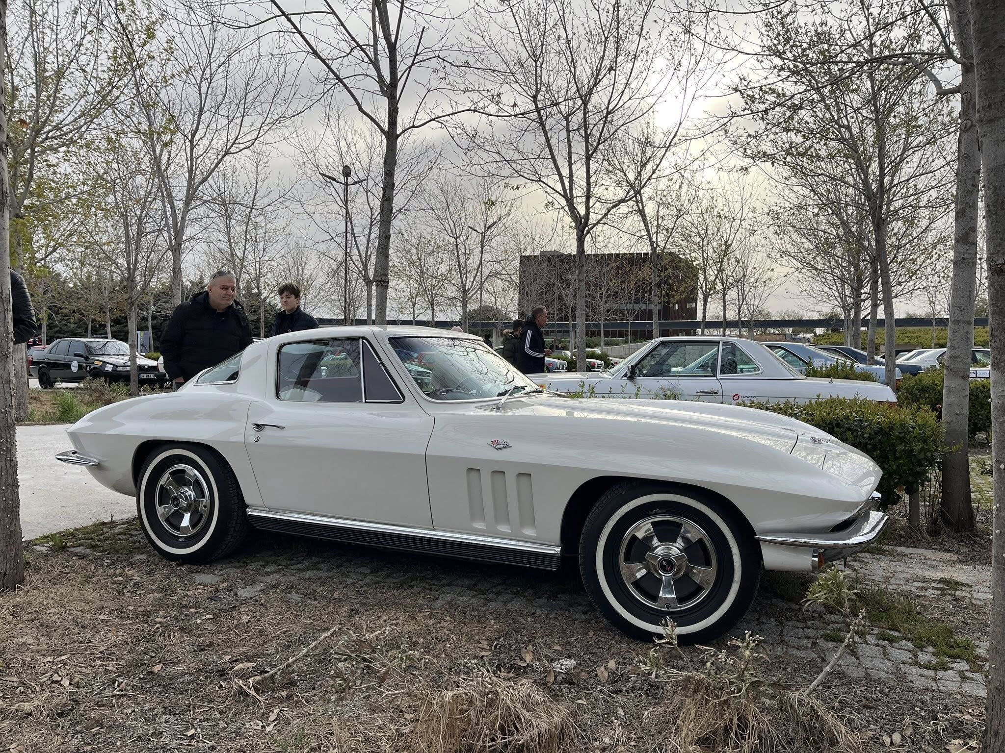 672678972 1603251798476299 2309270819646929022 N