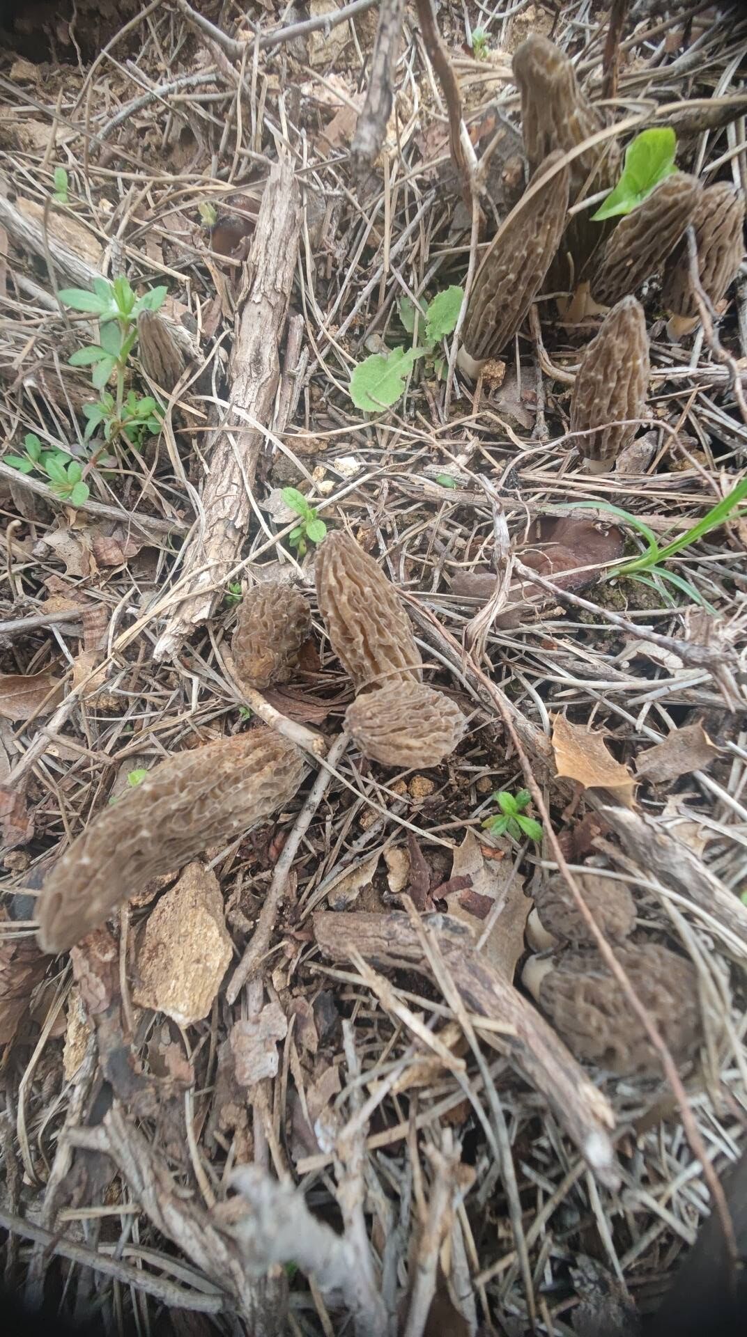 673473920 10227573599400393 991994257424373395 N