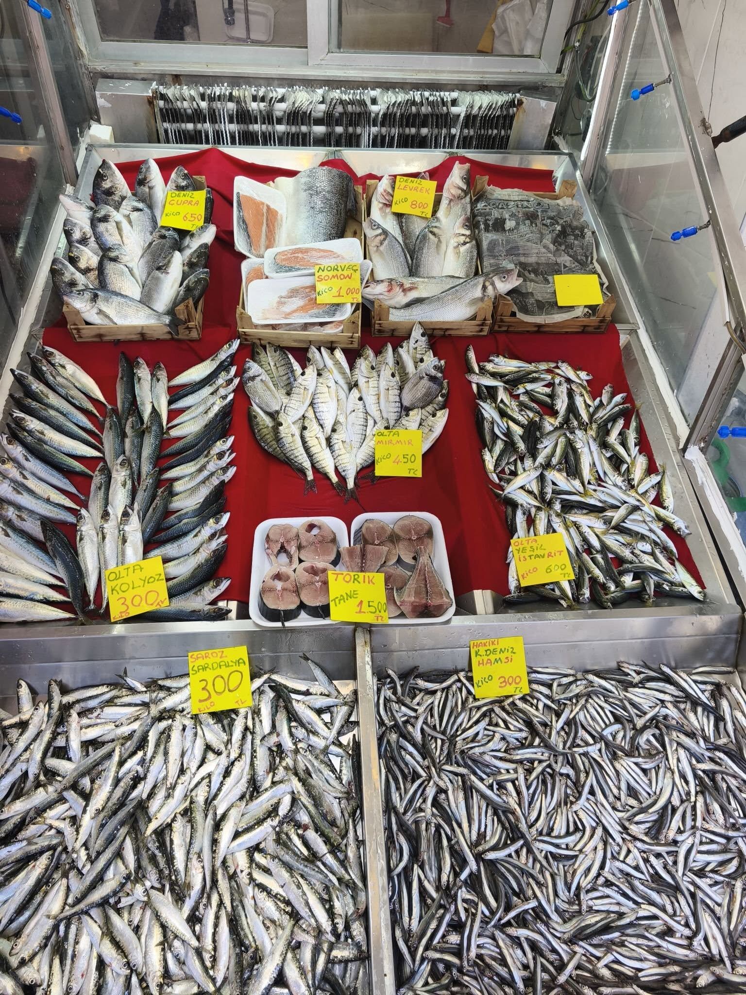 675208200 1311578827772950 8343181611457585700 N (1)