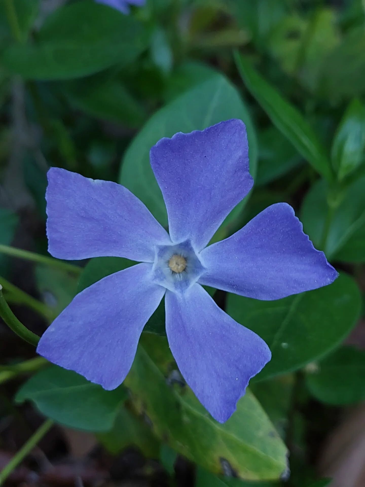 679922448 18591966238039216 4186630307434809139 N