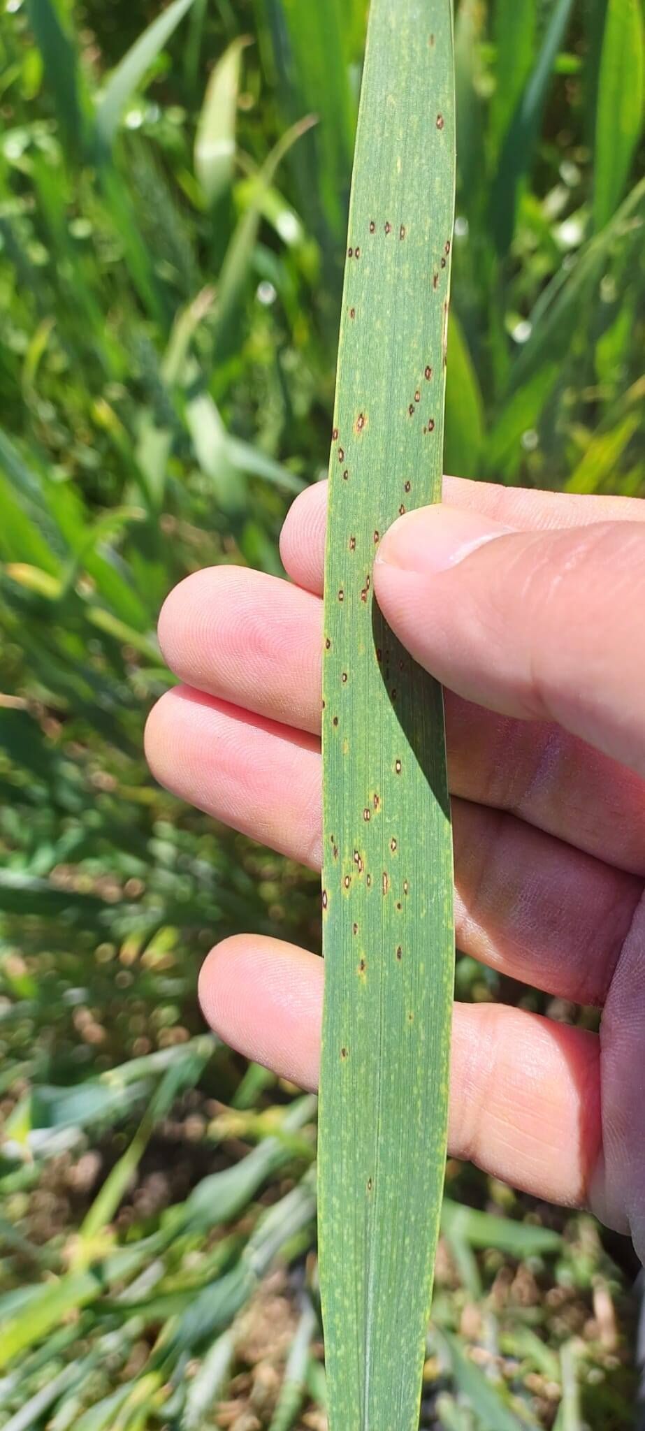 680275745 122191456304469841 2814533451549389063 N