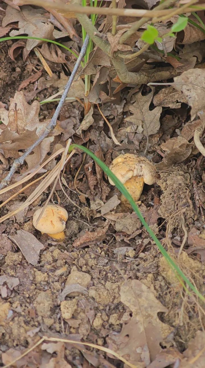 680Ffdab C196 4E8D 8Eae F0A4Ae18814E