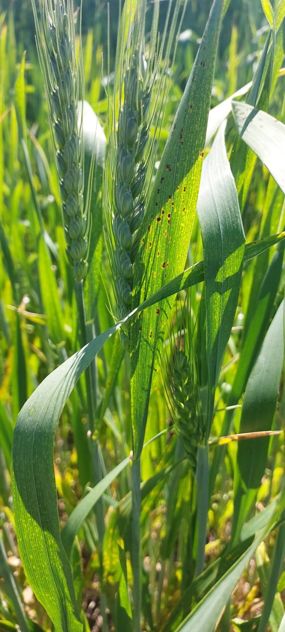 681426732 122191456166469841 2452208183398197977 N