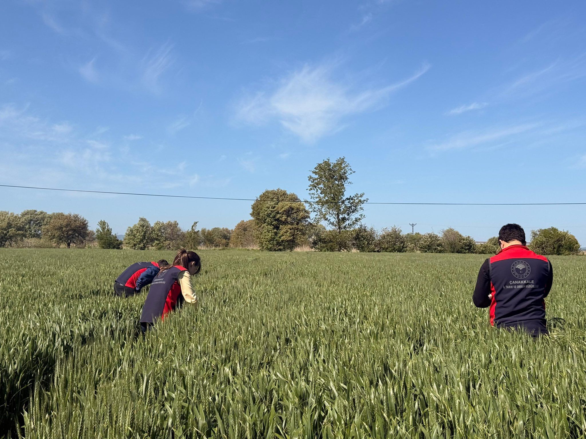 682115362 1585316036489211 804804902220850802 N