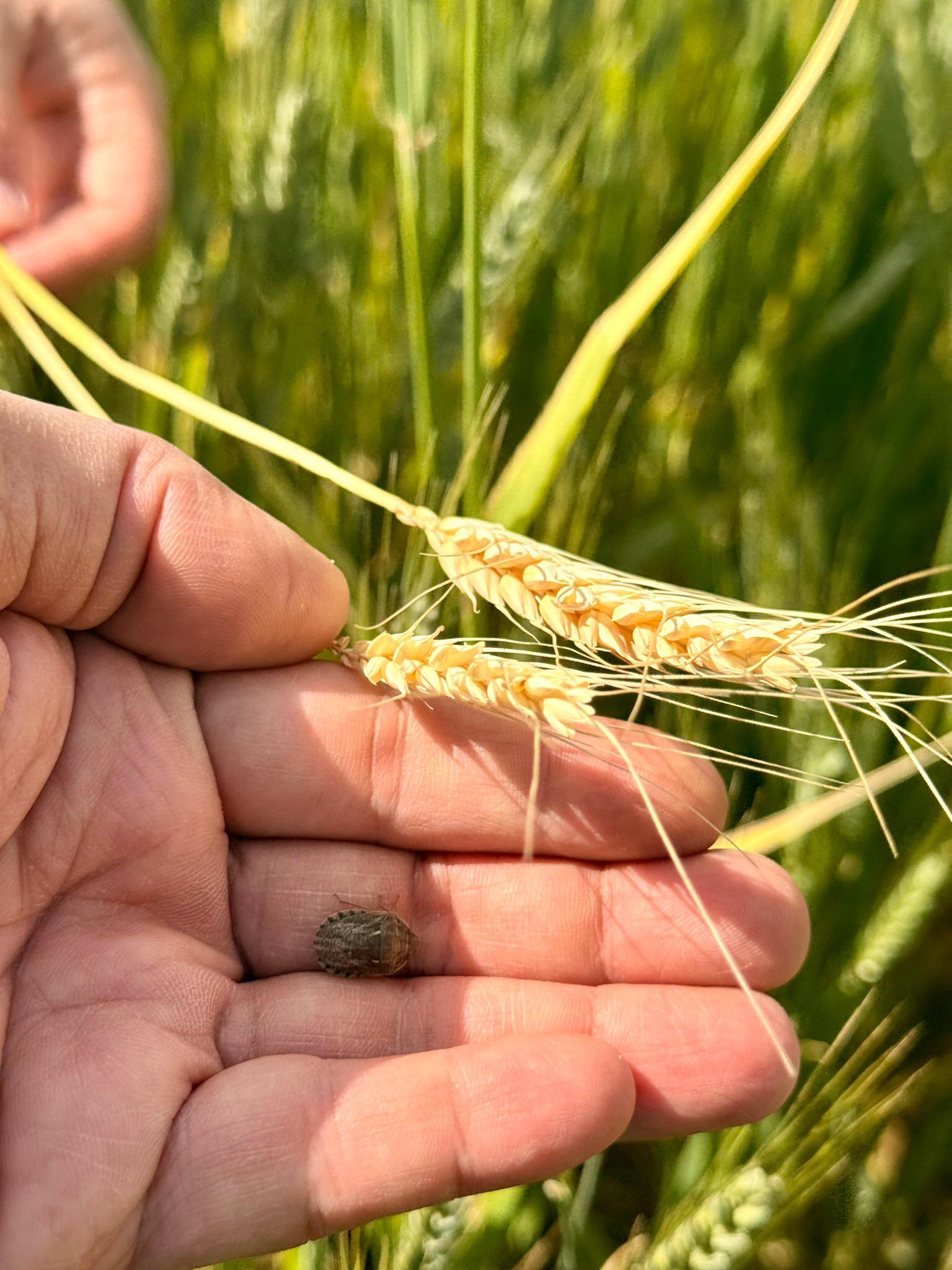 682704082 1585316076489207 78606237966512619 N