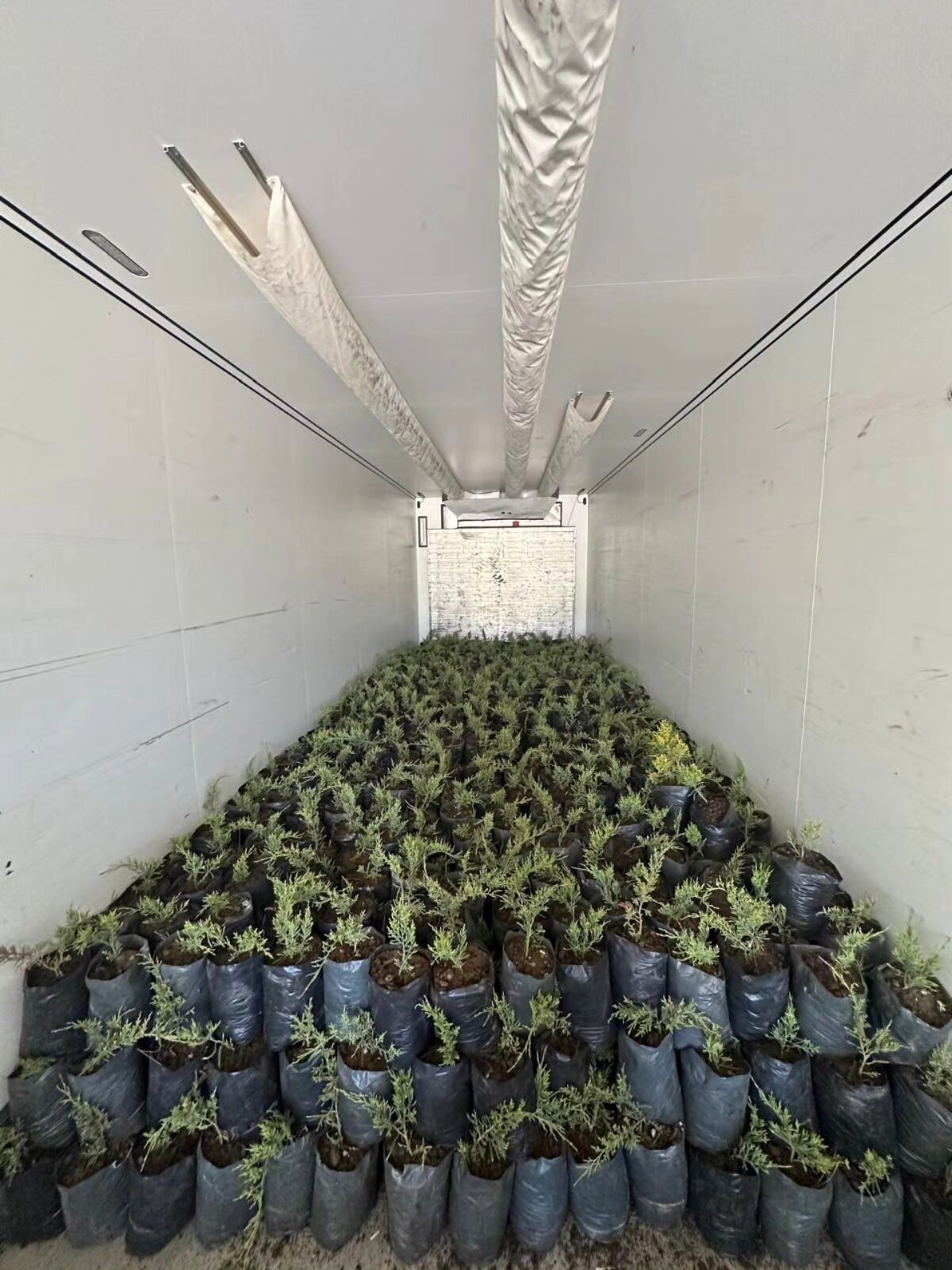 A640Beeb 06C4 47Ea Bf33 1E9176Db86A1