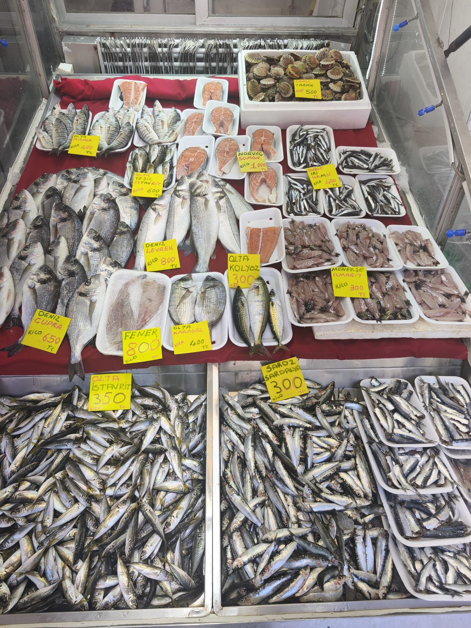 A6F932E9 223C 427E 9633 9A454359Bb3E